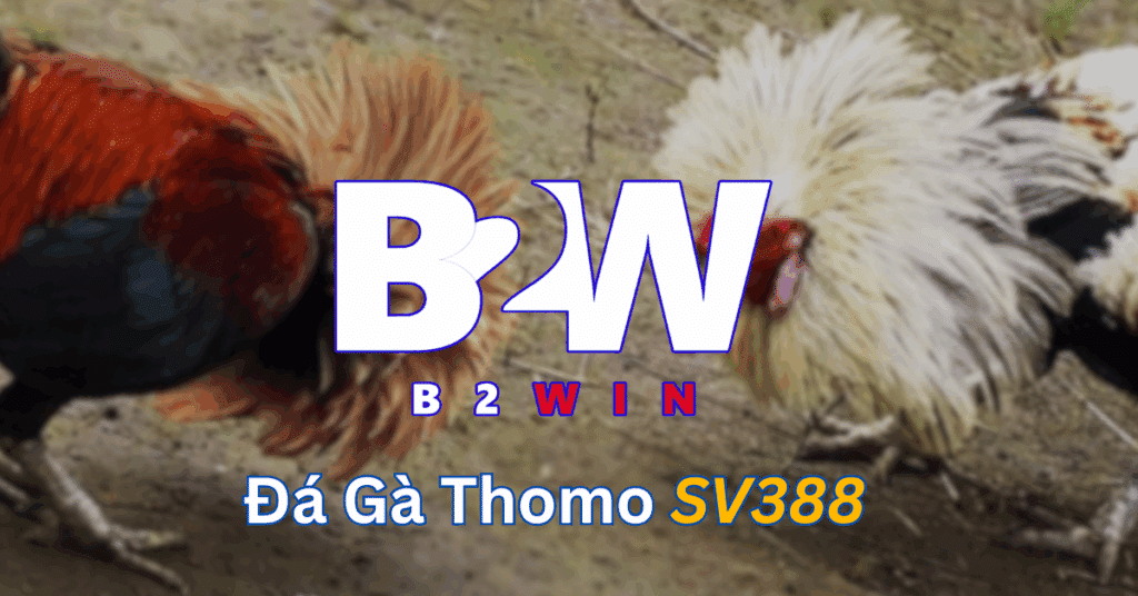 da-ga-Thomo-SV388-tai-B2winvn.png