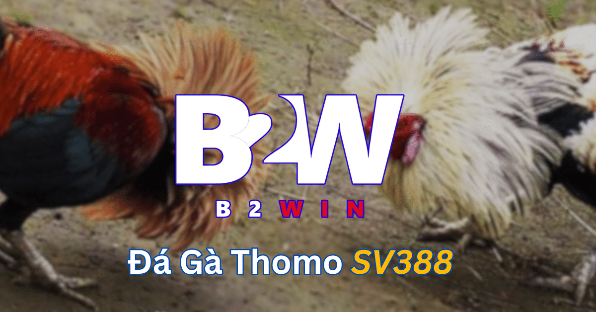 da-ga-Thomo-SV388-tai-B2winvn.png
