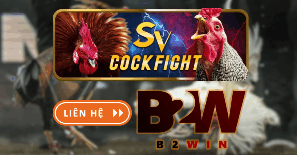 sv388 ảnh nền b2winvn