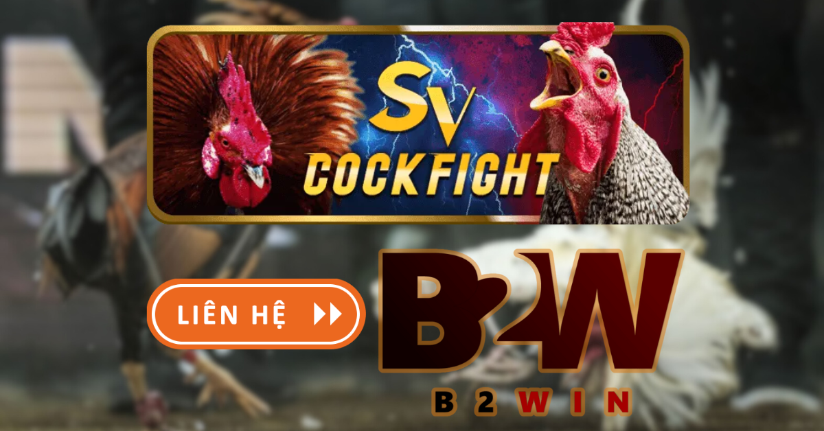 sv388 ảnh nền b2winvn